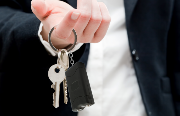 An image of a person holding a keychain stun guns